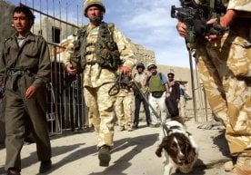 “Толибон” ҳокимиятга келгач Буюк Британияга кўчиб келган