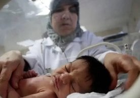 UNICEF (БМТнинг Болалар фонди) маълумотларига кўра, Ғазо