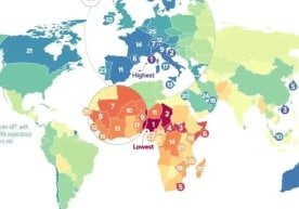 Visualcapitalist портали мутахассислари БМТнинг расмий
