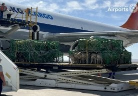 Навоий халқаро аэропортига Мўғулистондан «жонли» юк билан