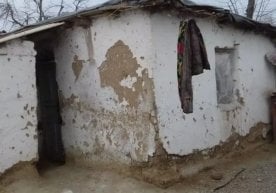 Президент иш ўрни ва даромадни ошириш бўйича самарали