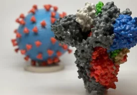 Фото: EPA Дунёнинг баъзи мамлакатларида доминант версияга