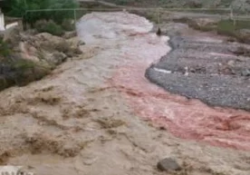 Май ойининг ўрталаридан буён Ўзбекистон бўйлаб давом