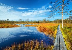 Litva, Latviya va Estoniya piyoda yuriladigan yo‘lak bilan bog‘lanadi (video) фото