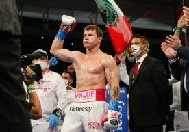 Сауль Альварес 15 кг вазн кўтариб WBC жаҳон чемпиони билан жанг қилмоқчи фото