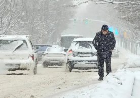 Ўзгидрометнинг 15 декабр учун берган янгиланган прогнозига