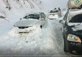 «Yo‘lda mashinam buzilib, Qamchiq dovonida qolib ketdim...» фото
