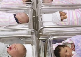 2025 йилда 48 нафар эркак 70 ёшдан ўтгандан сўнг ота