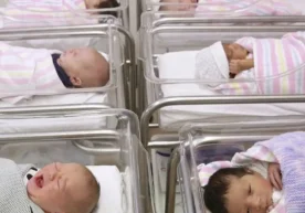 2025 йилда 48 нафар эркак 70 ёшдан ўтгандан сўнг ота