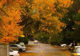 Ўзгидромет маълумотларига кўра, 30 октябрь куни