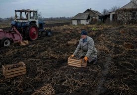 Урушнинг 260-куни: Қримга кўчирилаётган херсонликлар, картошка териб кун кечираётган донбасслик қариялар (фото) фото