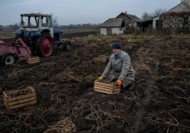 10 ноябр куни Amnesty International украинларни депортация