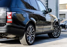 Фото: Pixabay Ўзбекистон ҳукумати 2023 йил 15 августдаги