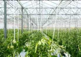 Ҳаво ифлосланишига қарши курашиш мақсадида пойтахтдаги