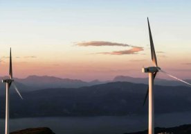 Ўзбекистон Президенти Шавкат Мирзиёев рамзий тарзда 42