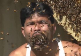 32 yoshli hind ogʻzini asalarilar bilan toʻldirdi (video) фото