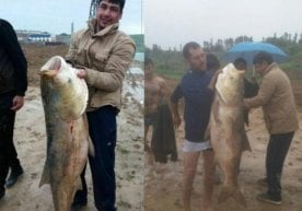 Фото: Потребитель.уз 24 апрель куни Туябўғиз сув омборида