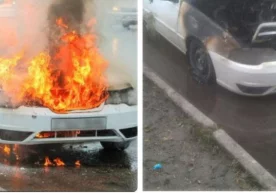 «Ўзбекистон» телеканалида эфирга узатилган, кундуз кунлари