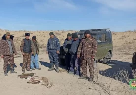 Фото: Судочье-Акпеткей қўриқхонаси Судочье-Акпеткей
