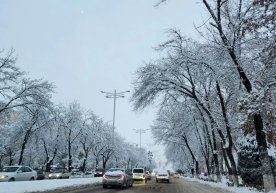 Ўзгидромет 22–25 декабрь кунлари учун об-ҳаво прогнозини