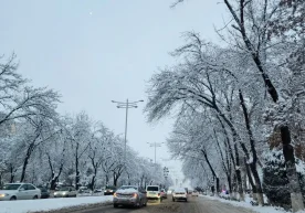 Ўзгидромет 22–25 декабрь кунлари учун об-ҳаво прогнозини