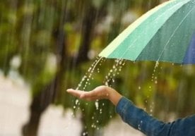 Oʻzbekistonda 1 may, juma kuni ob-havo oʻzgaruvchan