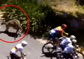 Австралияда ўтаётган Tour Down Under велопойгасида