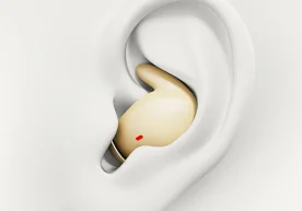 Шаҳар шовқини, транспорт ва қўшниларнинг шовқин-сурони