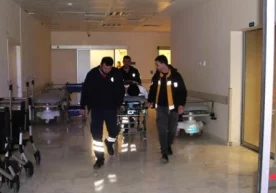 Konyaning Beyshehir viloyatidagi ko‘l yaqinida baliq