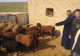 Xalqimizda “Qing‘ir ishning qiyig‘i qirq yilda ham