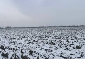 Мажбурий ижро бюроси Пахтачи туман бўлими иш юритувига