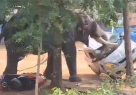 Ҳиндистонда ибодатхона байрами фожиа билан якунланди.