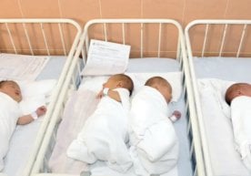 Миллий статистика қўмитаси маълумотларига кўра,