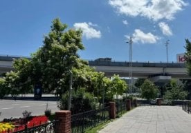 Ўзгидромет 19-август куни учун об-ҳаво прогнозини эълон