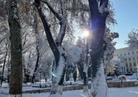 “Ўзгидромет” 26 январь куни учун республика ҳудудларида