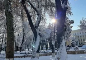 “Ўзгидромет” 26 январь куни учун республика ҳудудларида