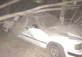 Куни кеча, 17 октябрь куни кечки пайт Тошкент шаҳри ва