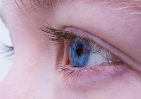 Фото: Flickr Даниялик олимлар тадқиқот ўтказиб, дунёдаги