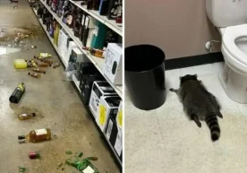 АҚШнинг Виржиния штатида содир бўлган гўзал, аммо хаосга