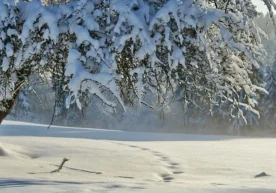 According to the information of "Uzgidromet", in