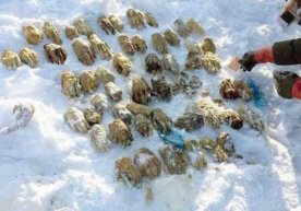 Бу воқеа 2012 йили содир бўлганди. Ўшанда март ойи