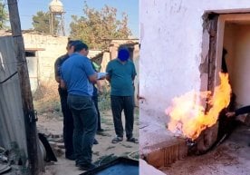 Сурхондарё вилояти Жарқўрғон туманида якка тартибдаги