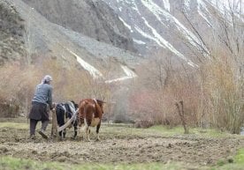 Яшил иқлим фонди Осиё тараққиёт банкининг
