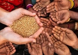 Мамлакатлар озиқ-овқат танқислиги пайтига яқинлашмоқда.