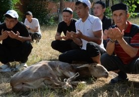 Qurbon hayiti bayramining 2026 yildagi sanasi