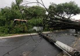 Бразилиянинг жанубий Парана штатида кеча кечқурун шиддатли