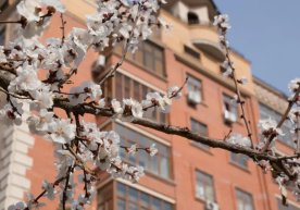 In Uzbekistan, on April 3, the weather will not be the