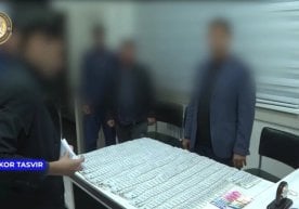 Тошкент шаҳрида қимор ва таваккалчиликка асосланган онлайн