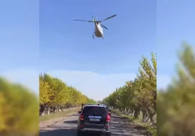 Фото: Видеодан кадр Ижтимоий тармоқларда куёв келинни