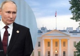 Ғазо секторидаги вазиятни барқарорлаштириш ва низони